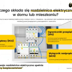 Wnętrze skrzynki elektrycznej Schneider Electric z wyłącznikami RCD, SPD i MCB. Kto jest właścicielem skrzynki elektrycznej? To serce instalacji, zapewniające bezpieczeństwo.