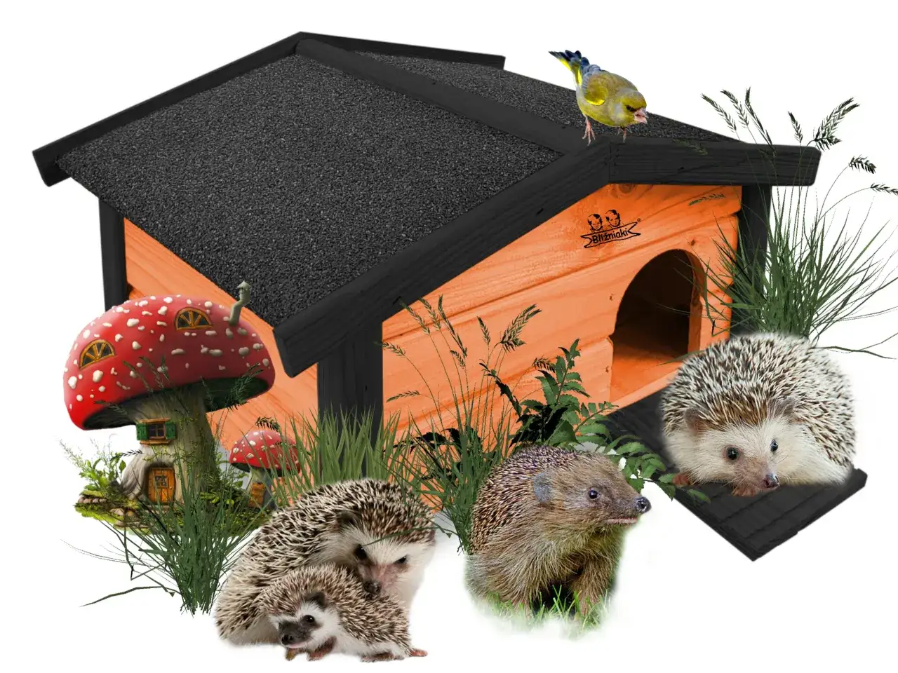 Bajkowy domek dla jeży z grzybkami i ptaszkiem na dachu. Jeże wesoło bawią się w trawie obok swojego przytulnego schronienia.