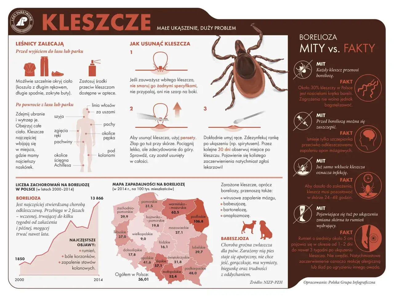 Zdjęcie Jętki czy kleszcze - poznaj różnice i zagrożenia dla człowieka