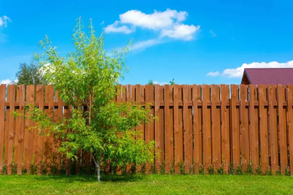Tani płot drewniany DIY: Jak zbudować go tanio i samodzielnie?